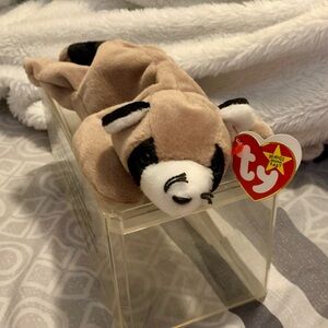 Ty Ringo Raccoon born July 14, 1995